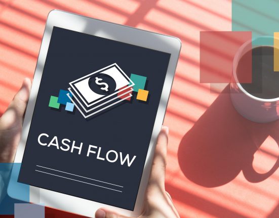 what is net cash flow