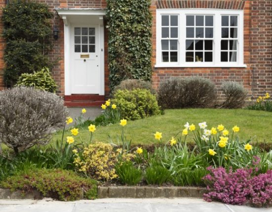 Front Garden Ideas