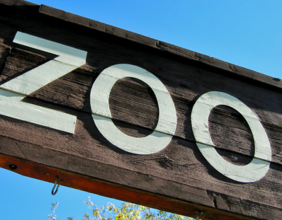 what animals are at london zoo