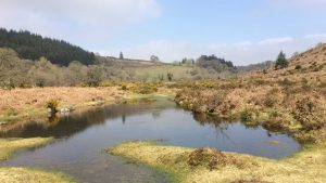 Dartmoor in Devon