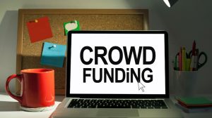 Invest in Crowdfund