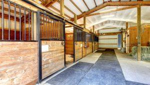 Surrey Hills Garden Buildings